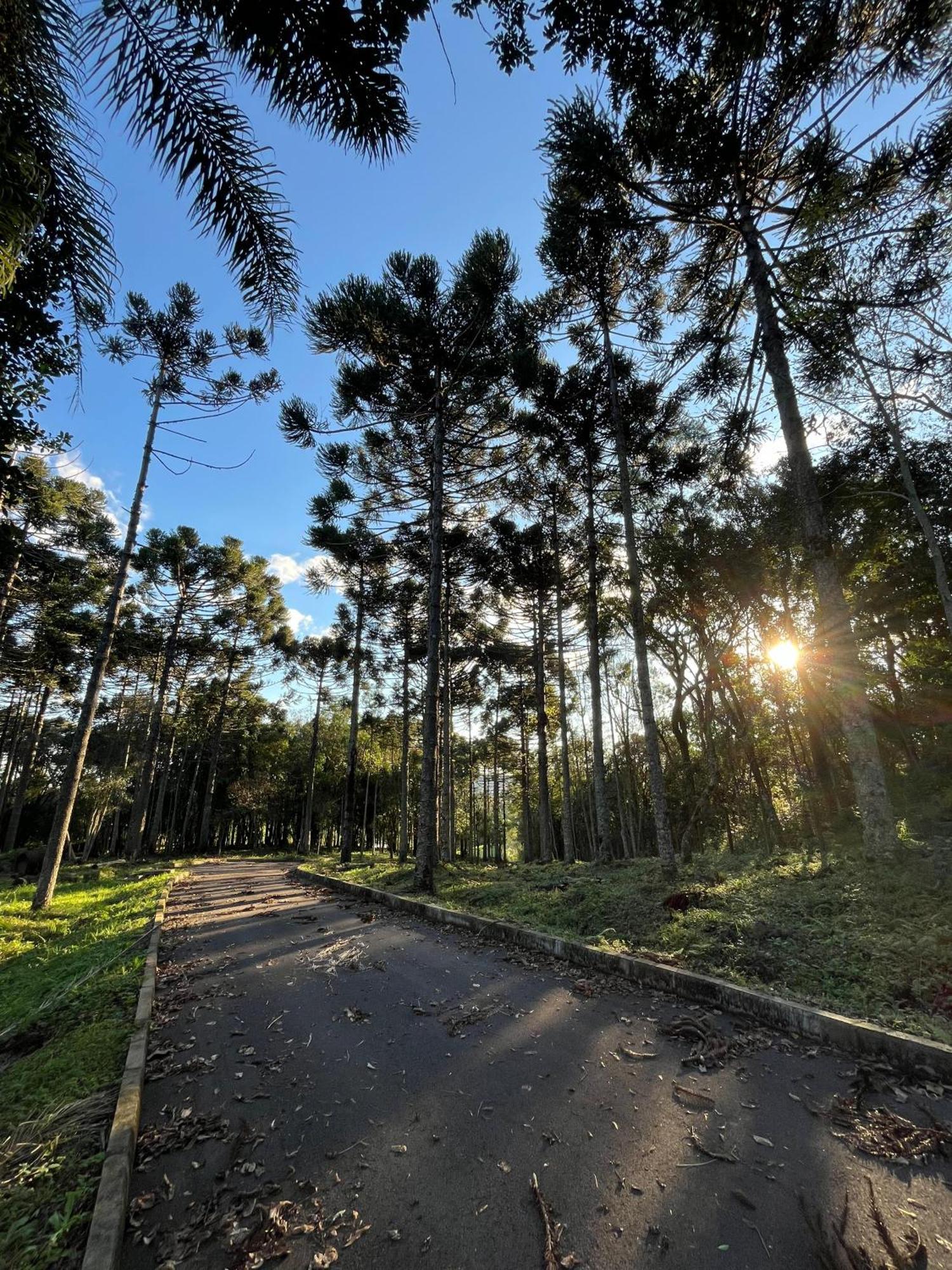 Ville Del Bosco Hotel São Marcos Buitenkant foto